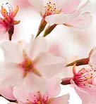 NYC apartment living UWS 