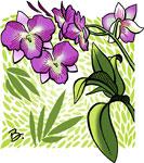 NYC apartments central park flowers