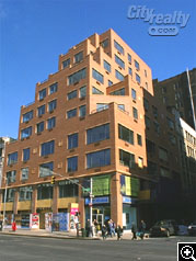 Lyla > 63 West 17th Street