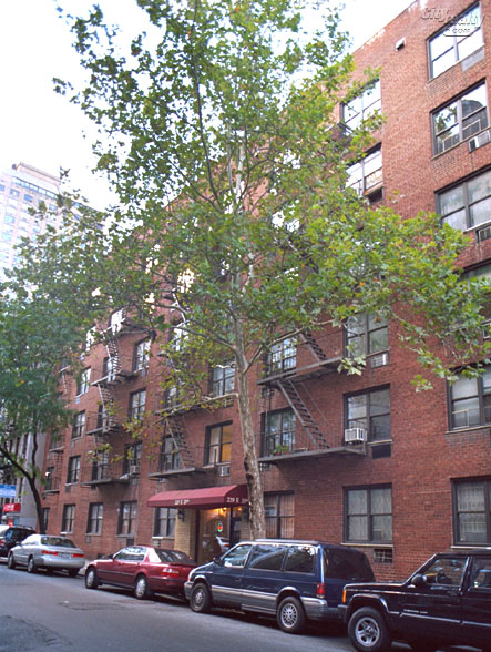 229 East 29th Street apartments