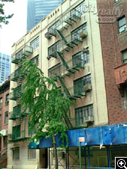 135 East 39th Street