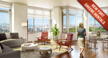 Studio, 1 and 2 Bedroom Rentals Starting at $1895