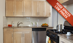 No Fee - Minutes from Manhattan