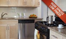 No Fee - Minutes from Manhattan