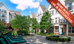 125 Parkway Road - Bronxville, NY