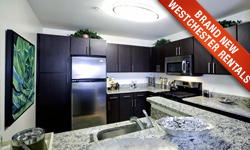  Luxury Apts & Townhome-style Rentals